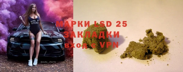 стафф Алексин