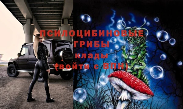 спиды Алзамай