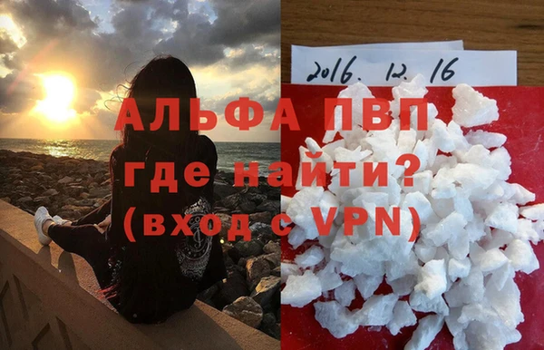 стафф Алексин