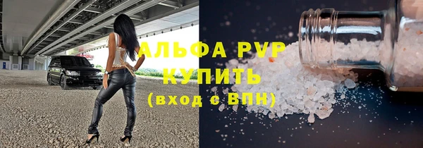 стафф Алексин