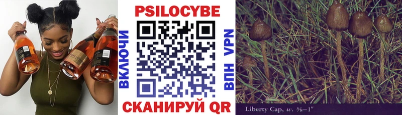 Псилоцибиновые грибы прущие грибы  Новочеркасск 